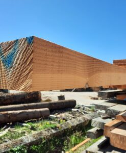 Bois de Charpente Douglas 10x22