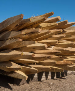 Piquet Robinier (faux acacia)