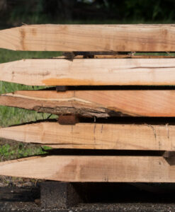 Piquet Robinier (faux acacia)