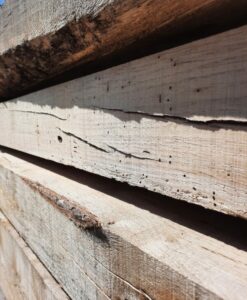 Alternative view of Traverses Paysagères Chêne Déclassé